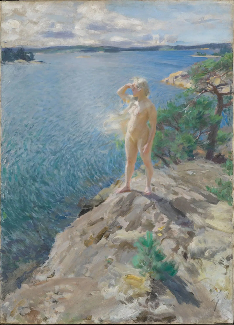 In the Skerries - Anders Zorn