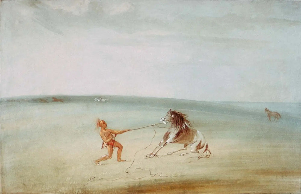 Décomposer le cheval sauvage - George Catlin image 1 reproduction artisanale de tableau