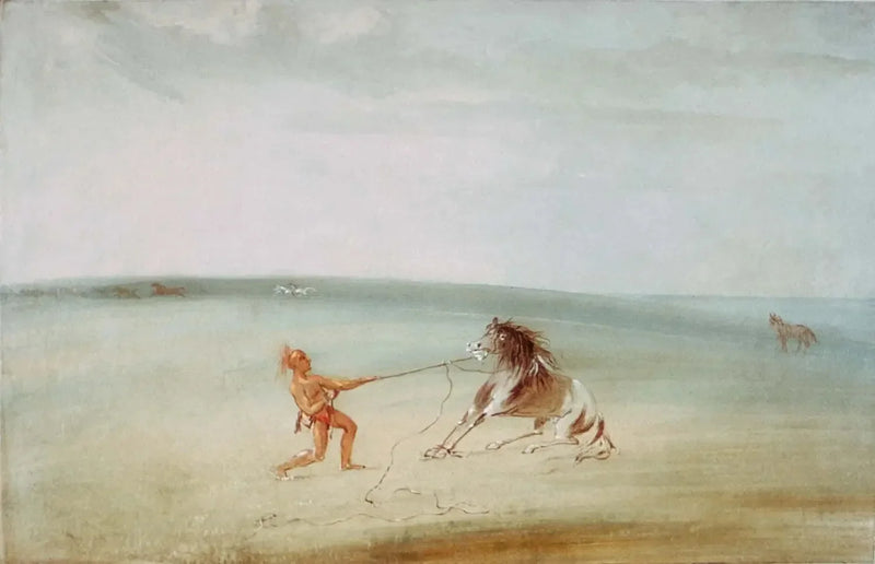 Decompose the Wild Horse - George Catlin