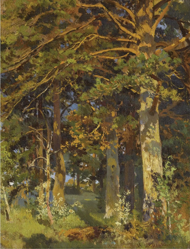 Forest Clearing - Ivan Chichkine