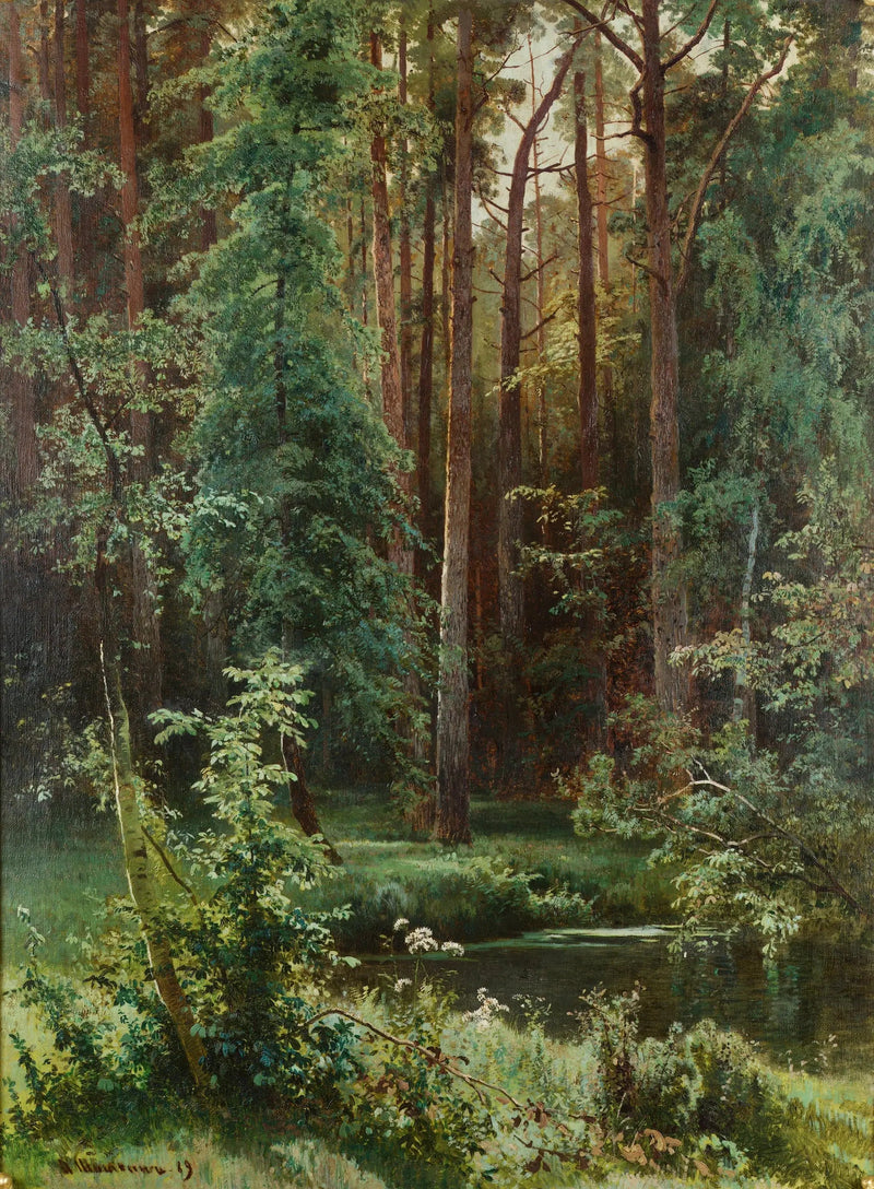 Woods - Ivan Chichkine