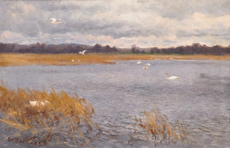 Swans on a Stream - Bruno Liljefors