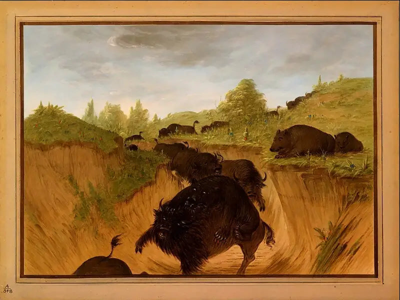 Grizzly bears attacking bison - George Catlin