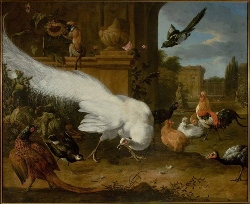 Poultry and a White Peafowl - Melchior de Hondecoeter