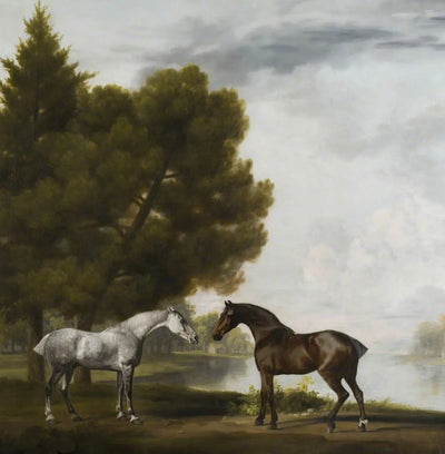Deux chevaux communiant dans un paysage - George Stubbs - Alpha Reproduction