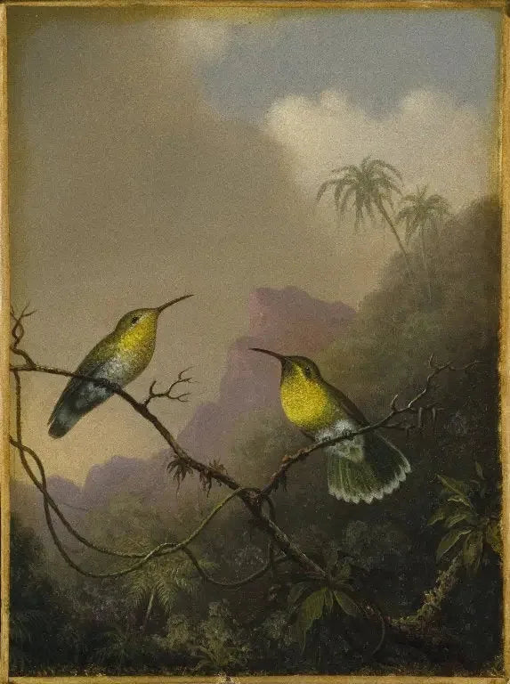Two hummingbirds: the copper-tailed amazili - Martin Johnson Heade