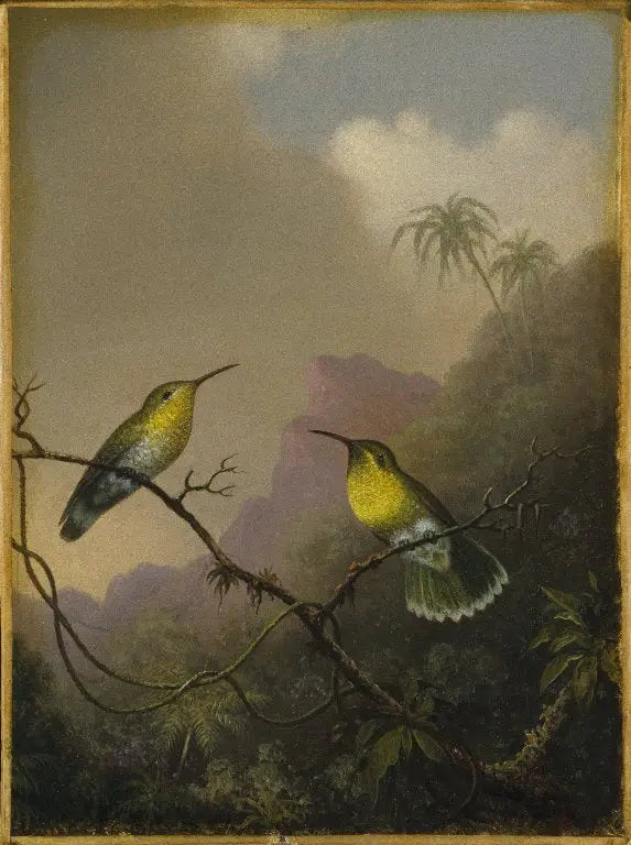 Deux colibris: l’amazili à queue cuivrée - Martin Johnson Heade - Alpha Reproduction