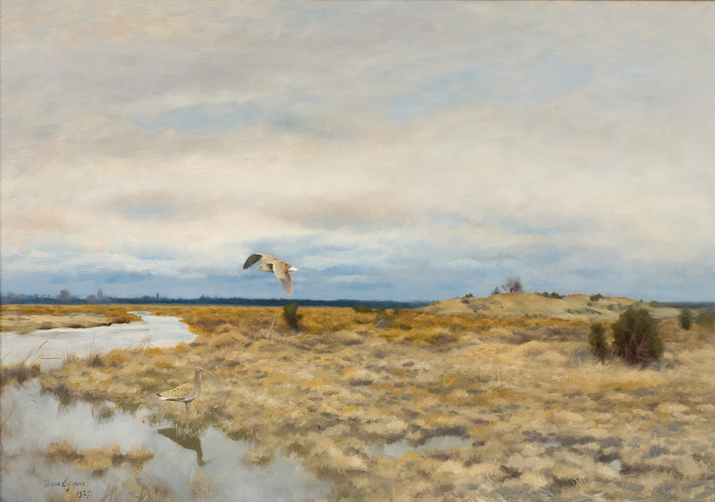 Two curlews in a peat landscape - Bruno Liljefors