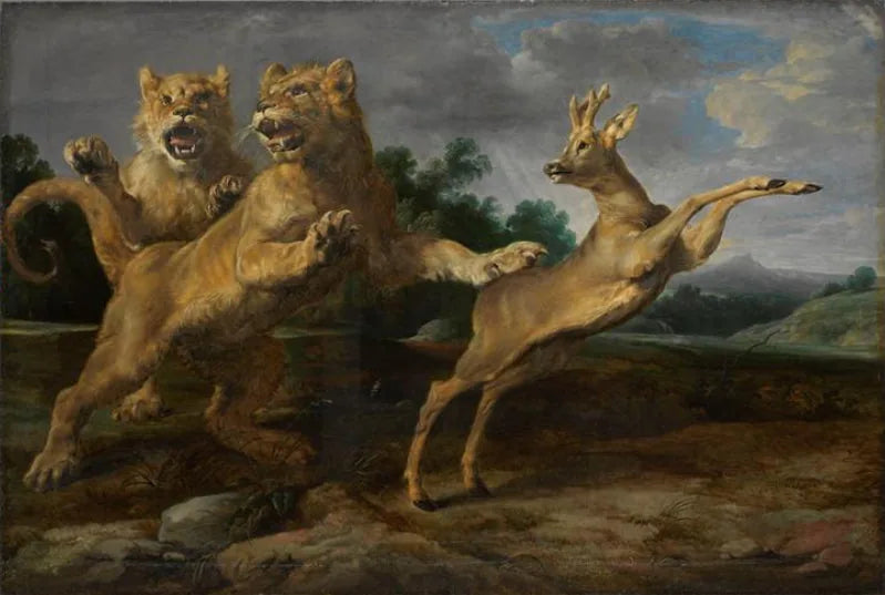 Deux jeunes lions poursuivant un chevreuil - Frans Snyders image 1 reproduction réalisée par Alpha Reproduction