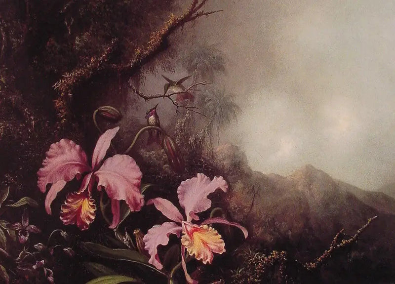 Two orchids in a mountain landscape - Martin Johnson Heade