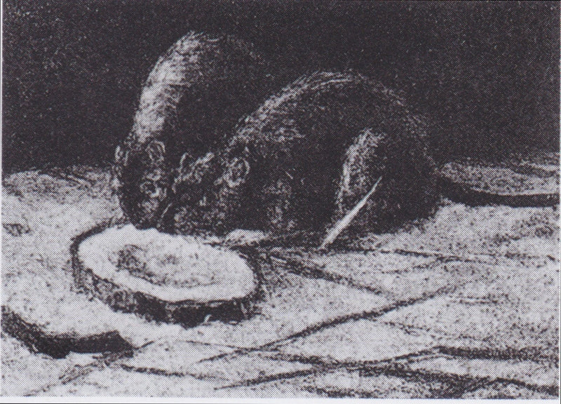 Two Rats - Vincent van Gogh