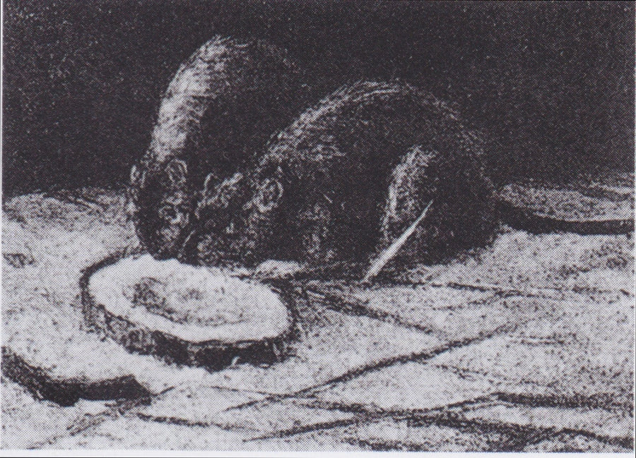 Two Rats - Vincent van Gogh