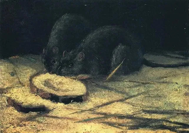 Two Rats - Vincent van Gogh