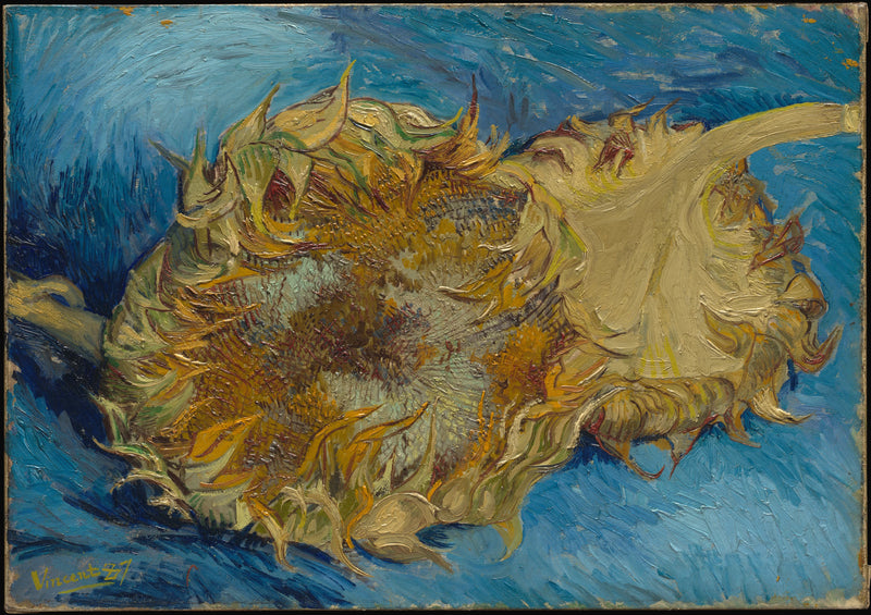 Two Sunflowers - Vincent van Gogh