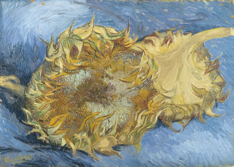 Two Sunflowers - Vincent van Gogh
