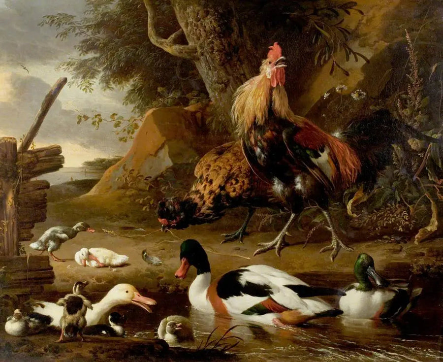 Two poultry and ducks on a pond - Melchior de Hondecoeter