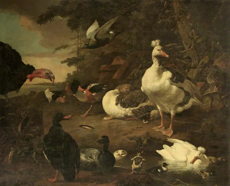Turkey, geese, Belon tadorne, and other poultry, in a landscape with a stream - Melchior de Hondecoeter