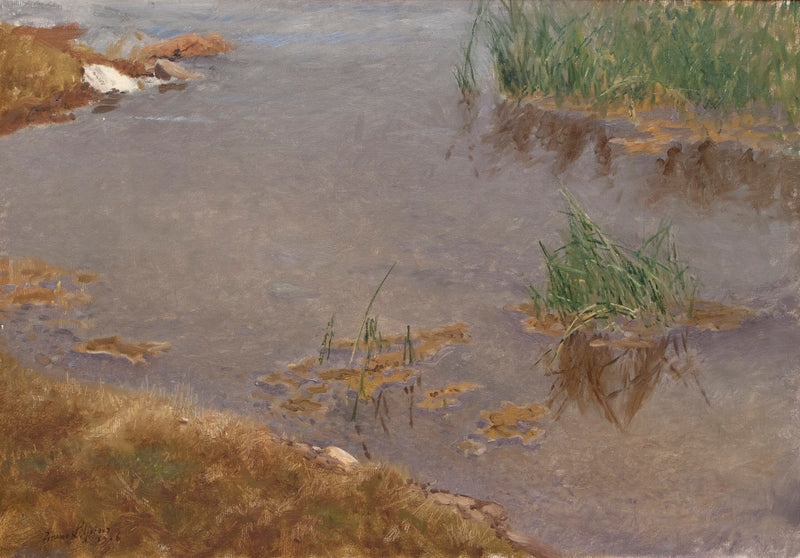 Shallow Waters - Bruno Liljefors