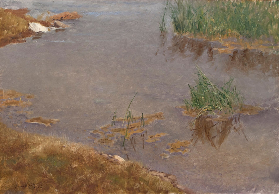 Shallow Waters - Bruno Liljefors