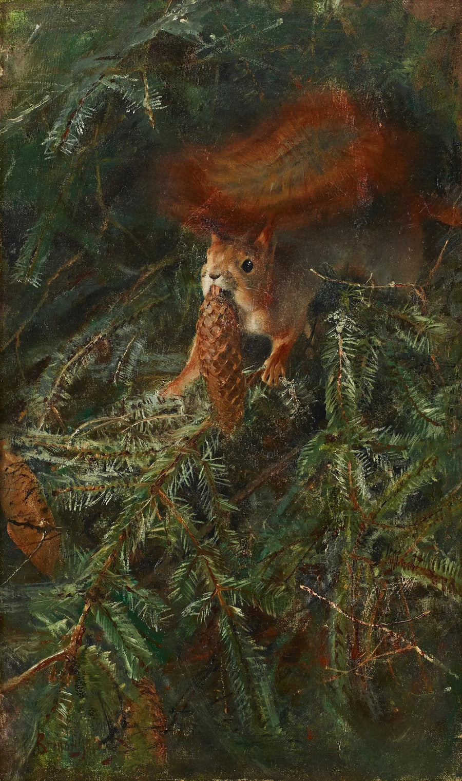 Squirrel - Bruno Liljefors