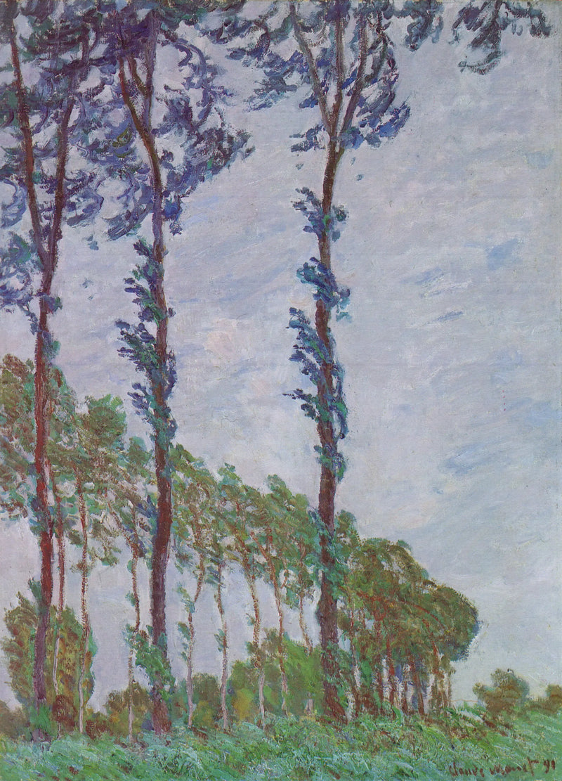 Wind Effect, Poplars Series - Claude Monet