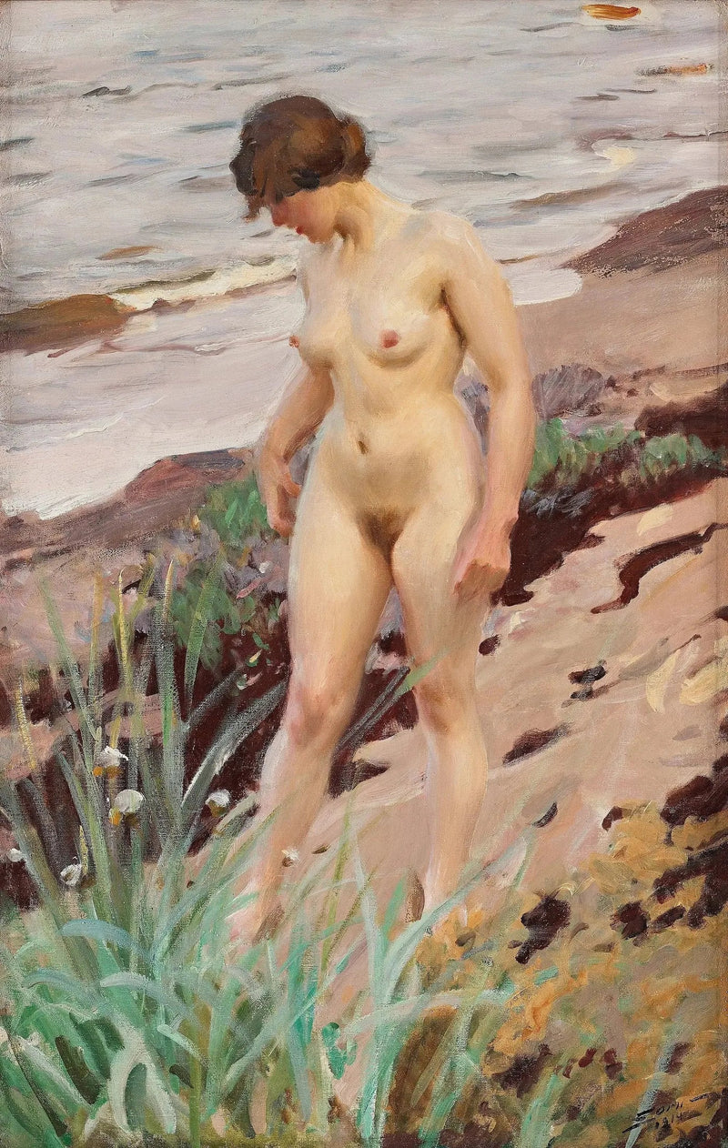 Sandhamn Effect - Anders Zorn
