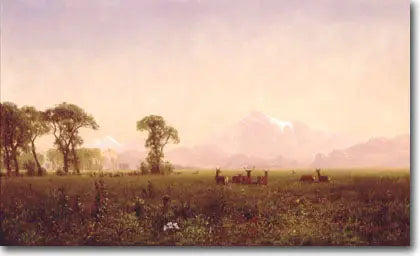 Elk Grazing in the Wind River Region - Albert Bierstadt