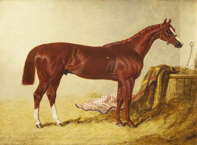 Elis, winner of the St Leger Stakes, 1836, dans un box détaché - John Frederick Herring, Sr.