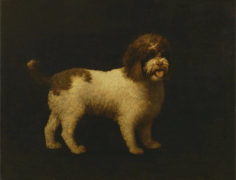 Water Spaniel - George Stubbs