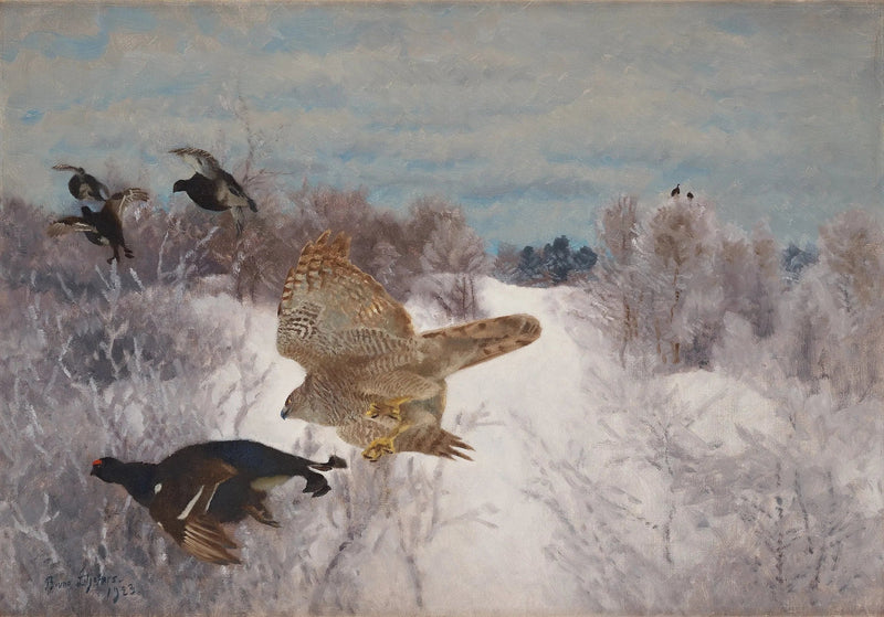 Sparrowhawk hunting black grouse - Bruno Liljefors