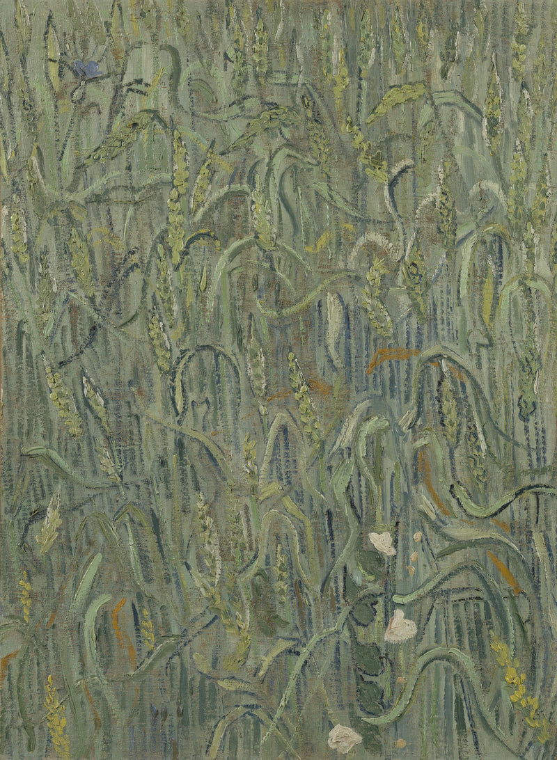 Wheat Stalks - Vincent van Gogh