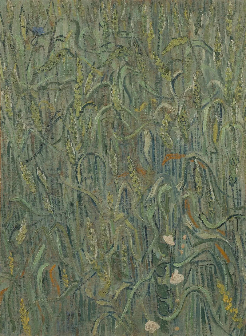 Wheat Stalks - Vincent van Gogh
