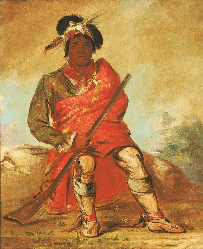 Eteh-ée-fix-e-co, Heartless Deer, a Chief - George Catlin