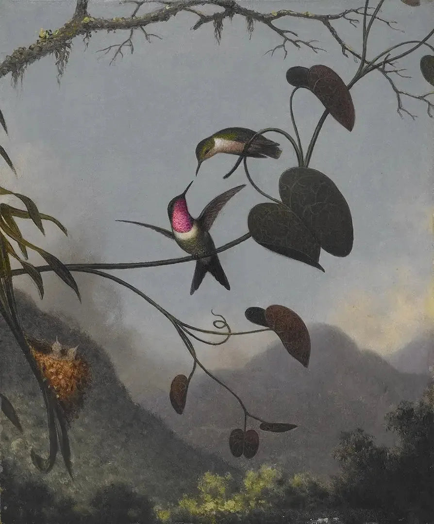 Amethyst Star of the Woods - Martin Johnson Heade