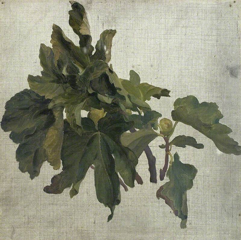 Study of Oak Leaves - Frederic Leighton
