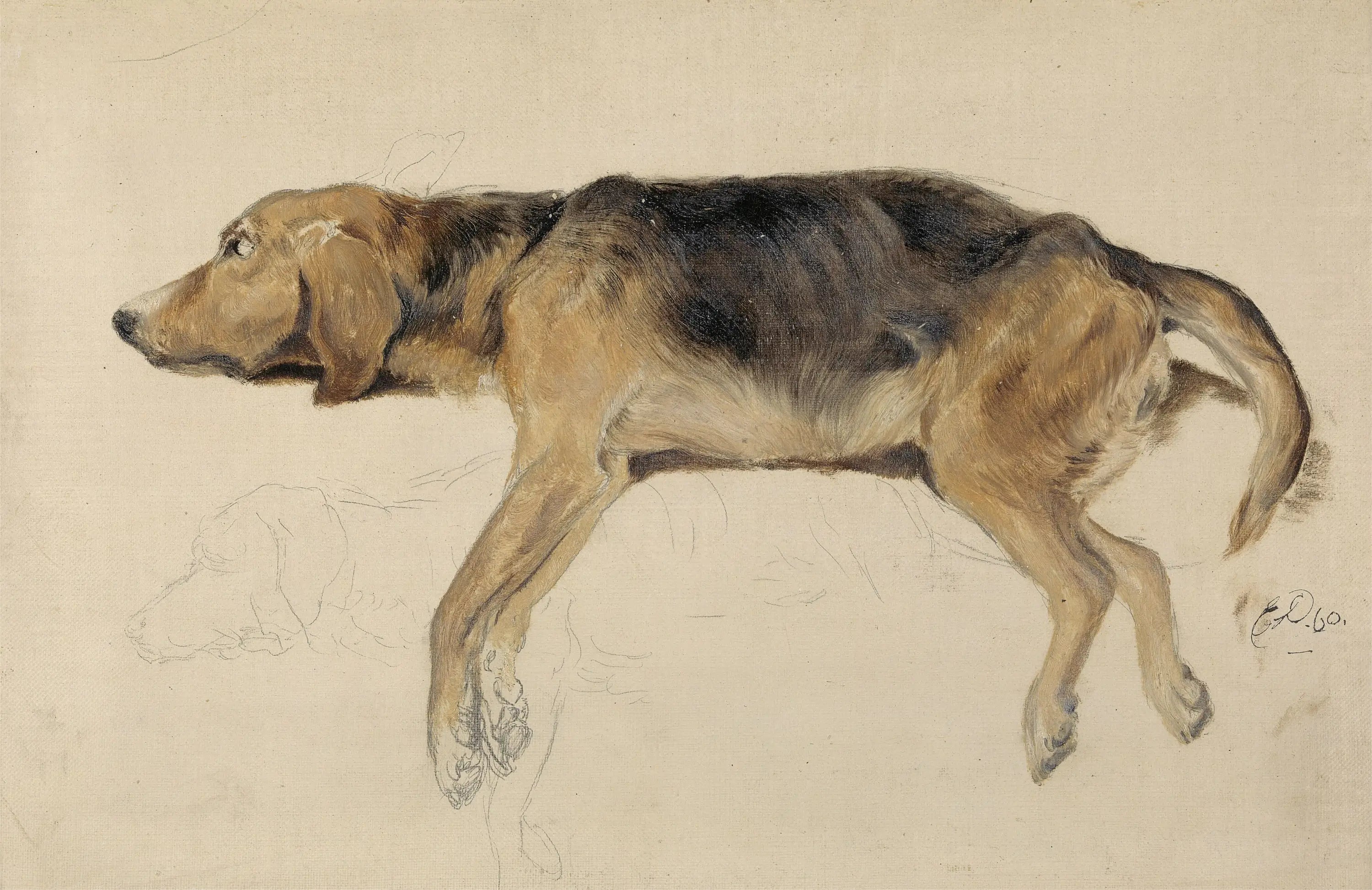 Étude d’un chien couché - Edwin Henry Landseer - Alpha Reproduction