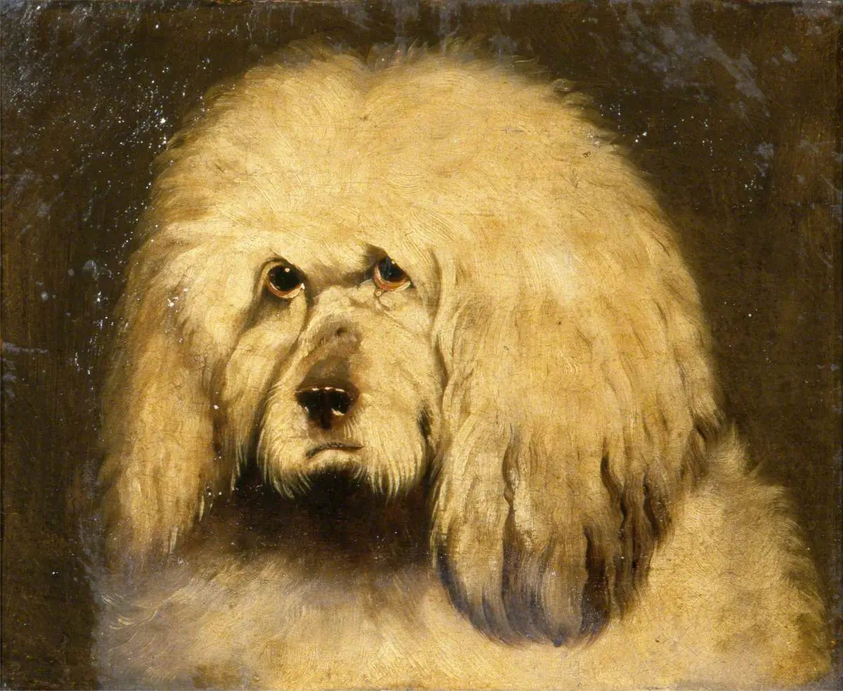 Étude d’une tête de chien - Edwin Henry Landseer - Alpha Reproduction