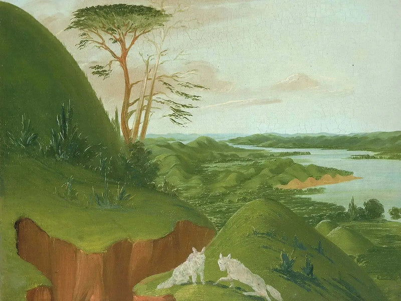 River Cliffs with White Wolves in the Foreground, Upper Missouri - George Catlin
