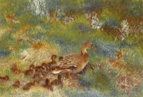 duck family - Bruno Liljefors