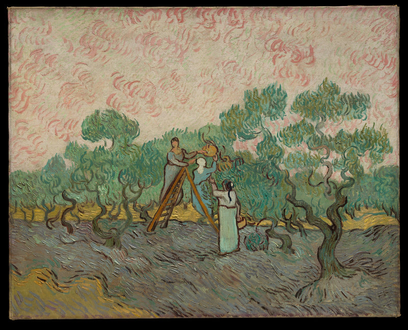 Women Picking Olives - Vincent van Gogh