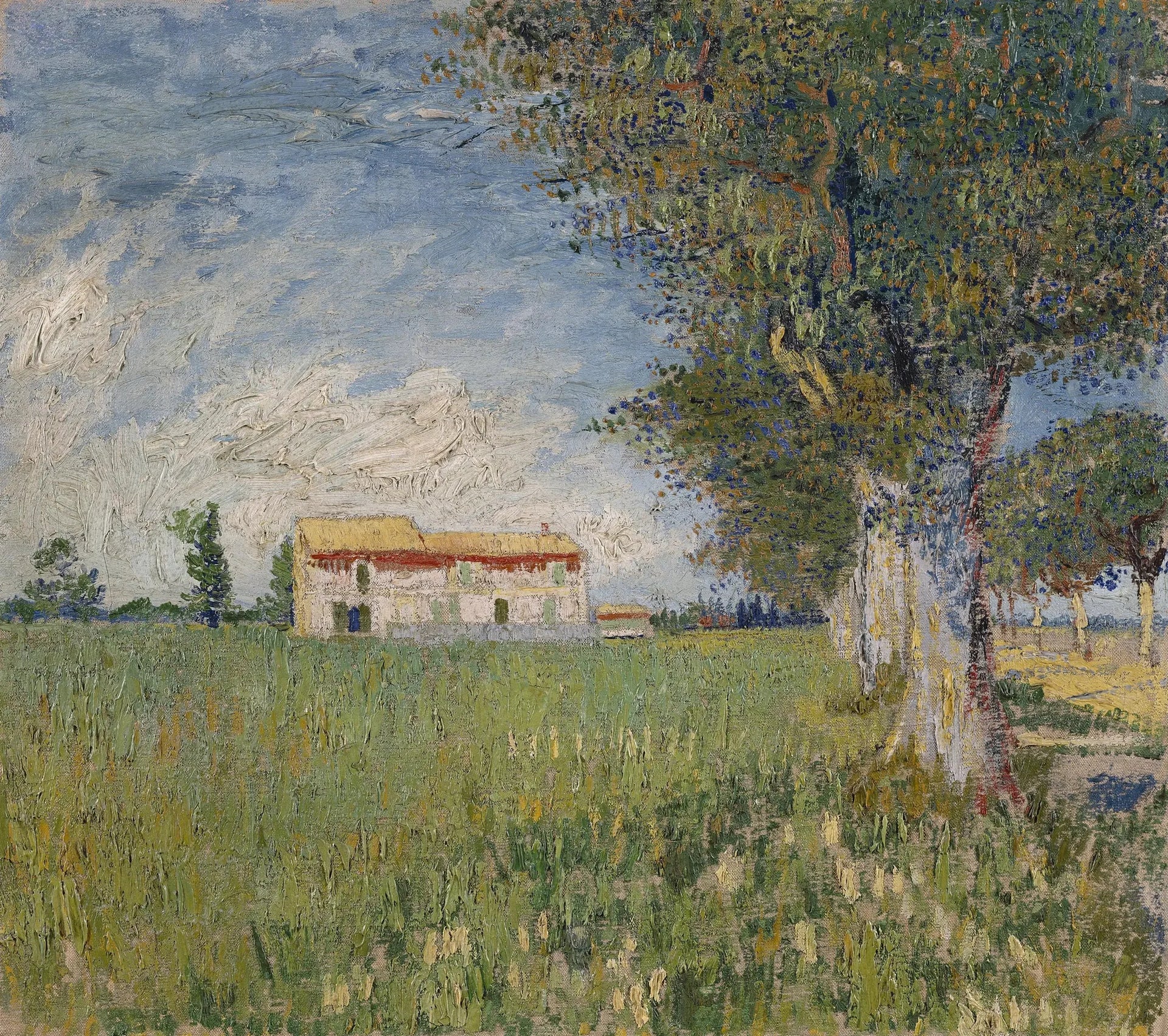 Ferme dans un champ de blé - Vincent van Gogh image 1 reproduction réalisée par Alpha Reproduction