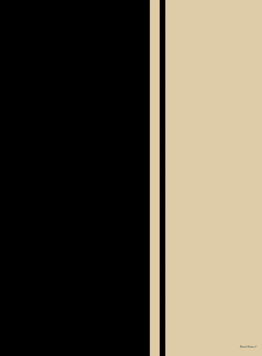 Feu Noir I - Barnett Newman