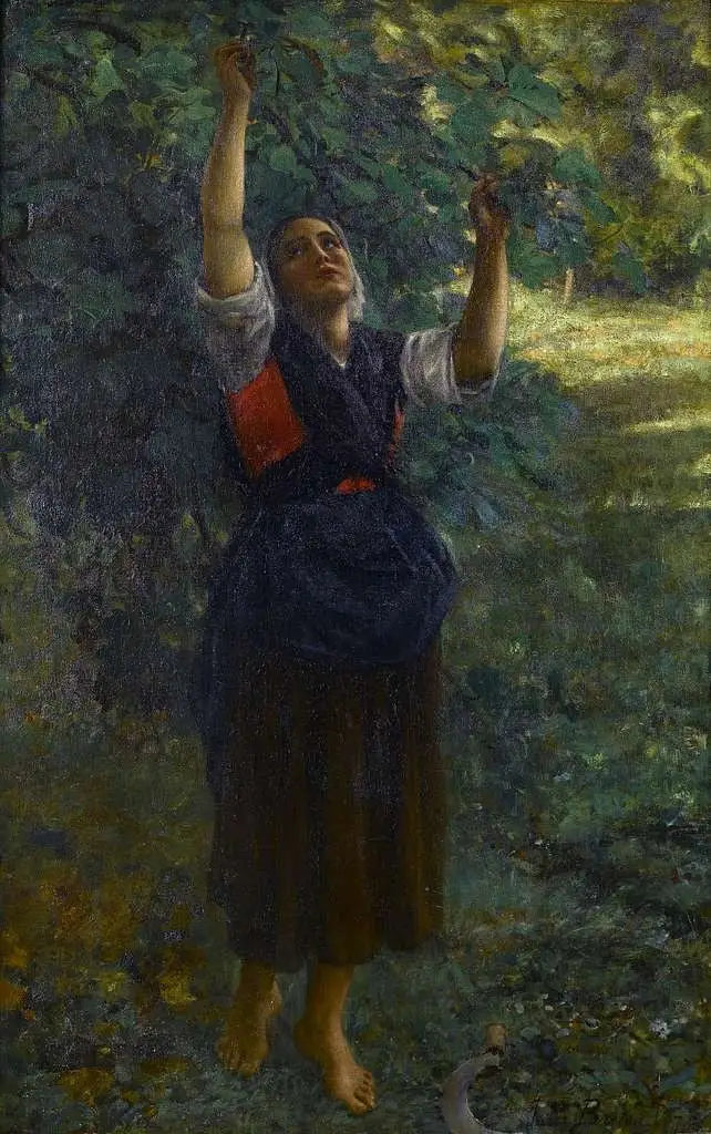 Girl Picking Figs - Jules Breton