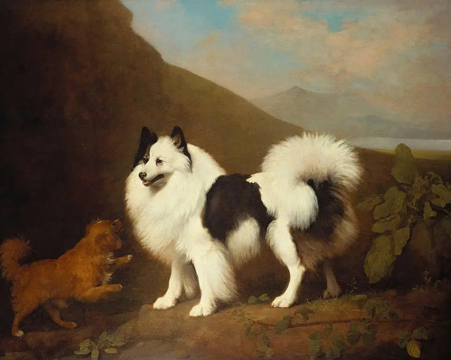 Fino and Tiny - George Stubbs
