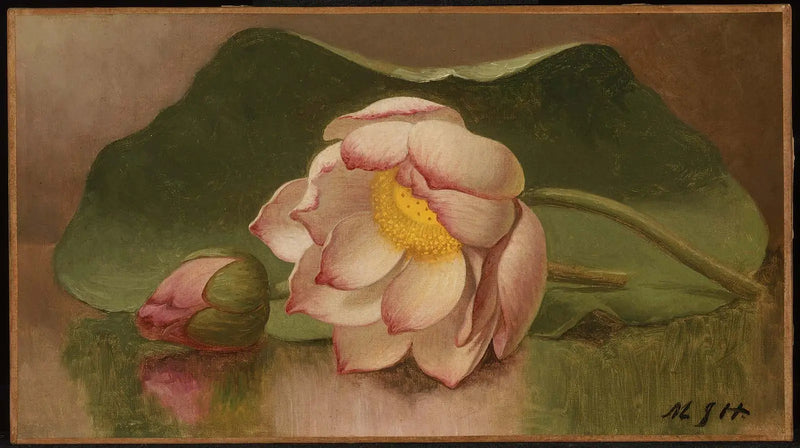 Lotus Flower - Martin Johnson Heade