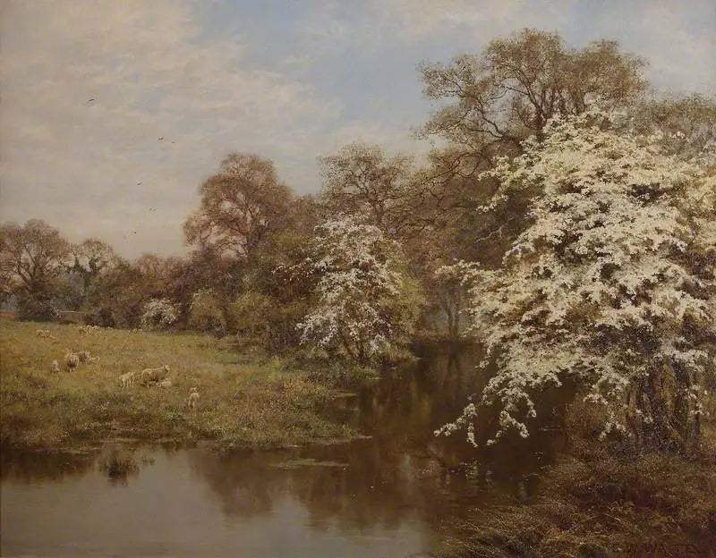 Hawthorn Flowers - Edward Wilkins Waite