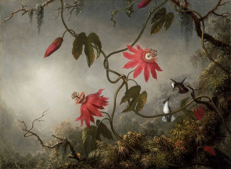 Passion Flowers and Hummingbirds - Martin Johnson Heade