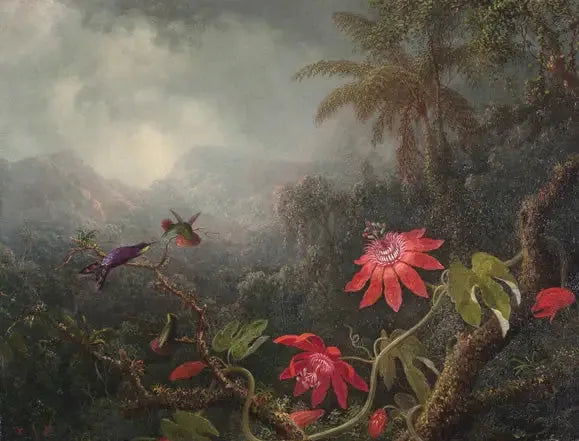 Passion Flowers and Three Hummingbirds - Martin Johnson Heade
