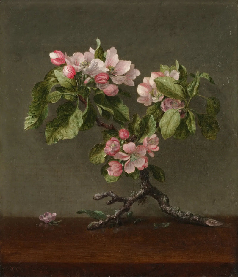Apple Blossom Flowers - Martin Johnson Heade
