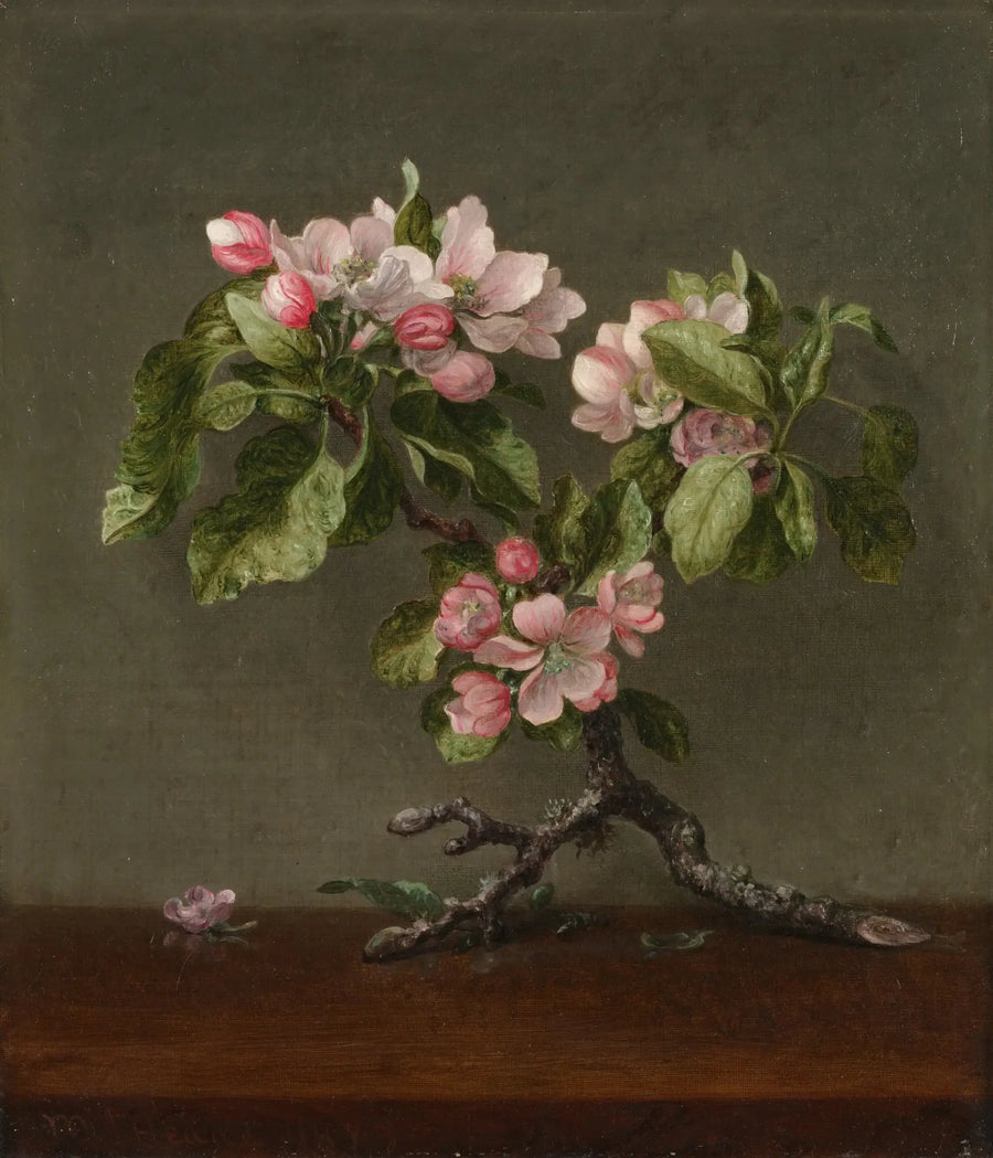 Apple Blossom Flowers - Martin Johnson Heade